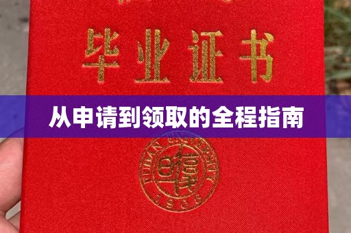 金口河从申请到领取的全程指南