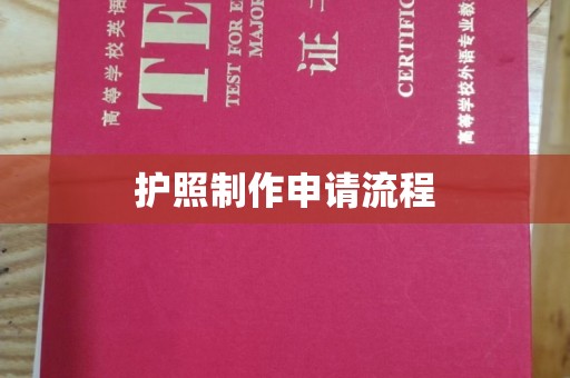 金口河护照制作申请流程