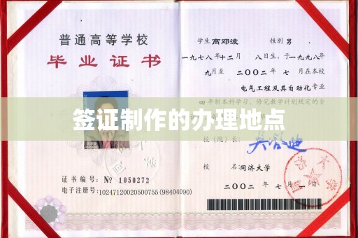 金口河签证制作的办理地点