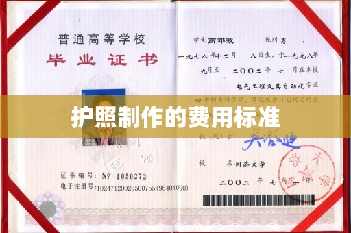 金口河护照制作的费用标准